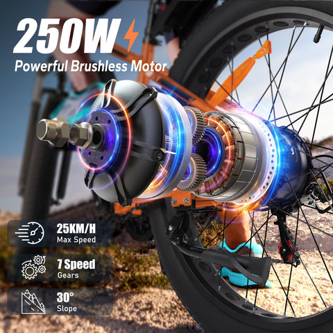 VARUN Electric Bikes for Adults, 26''*4.0 Fat Tire Electric Mountain Bike with 48V/13Ah Lithium Battery, LCD Display with 5-PAS, E-fatbike with 4 Riding Mode, Mileage 100KM